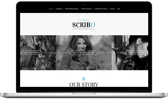 wordpress multipurpose themes